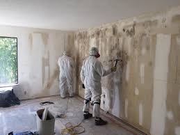 Trusted Ellsworth, WI Mold Inspection Experts